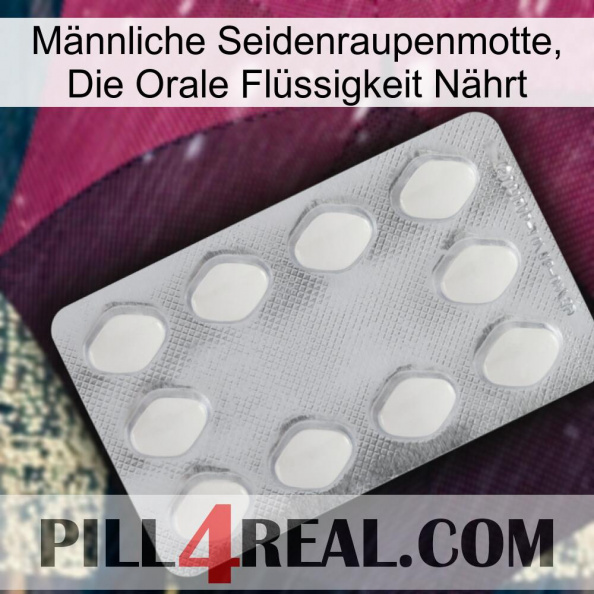 Männliche Seidenraupenmotte, Die Orale Flüssigkeit Nährt 16.jpg